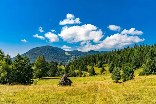 Vista Vieja Casa Abandonada Montaña Tara Serbia — Foto de Stock