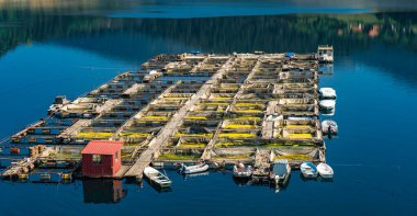 Sırbistan 'daki Zaovine Gölü' ne bak