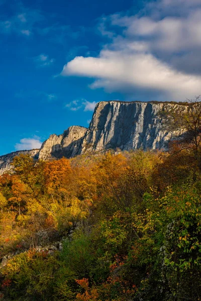 Vue Gorge Danube Djerdap Frontière Entre Serbie Roumanie — Photo