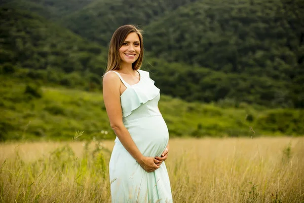 Jolie Jeune Femme Enceinte Détendre Extérieur Dans Nature Jour Été — Photo