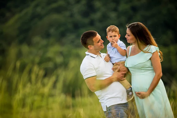 Junge Familie Vergnügt Sich Draußen Auf Der Sommerwiese — Stockfoto