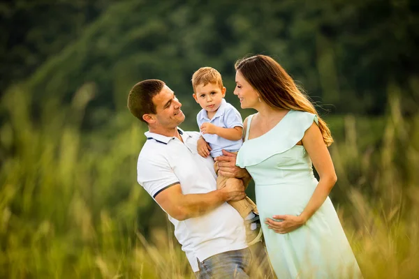 Genç Bir Aile Yaz Tarlasında Eğleniyor — Stok fotoğraf