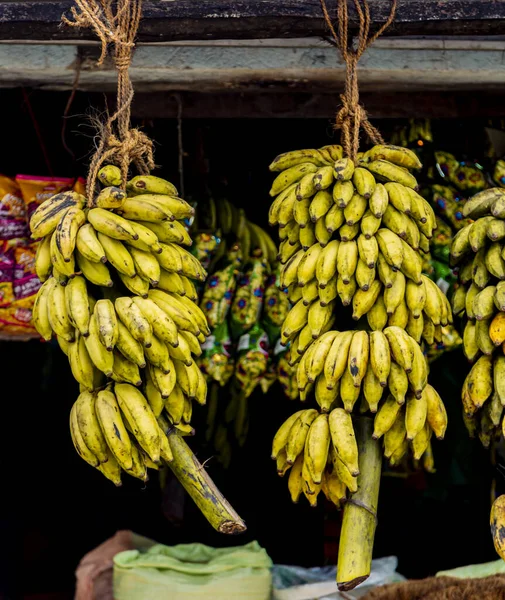 Vista Plátanos Puesto Frutas Mercado Sri Lanka —  Fotos de Stock