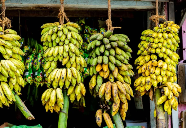 View Bananas Fruit Stand Market Sri Lanka — Stock Photo, Image