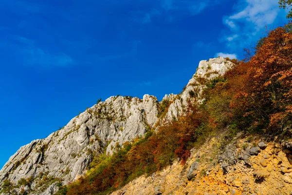 Vue Gorge Danube Djerdap Frontière Entre Serbie Roumanie — Photo