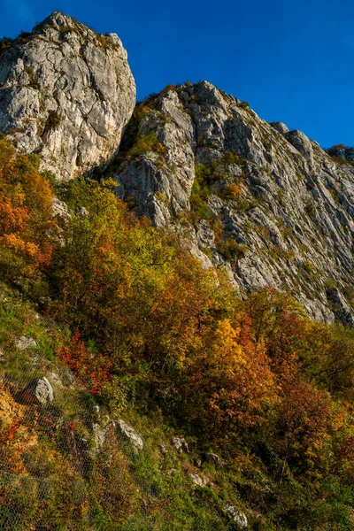 Vue Gorge Danube Djerdap Frontière Entre Serbie Roumanie — Photo