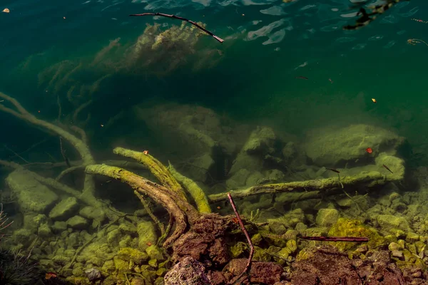 세르비아의 드리나 페루의 호수의 — 스톡 사진