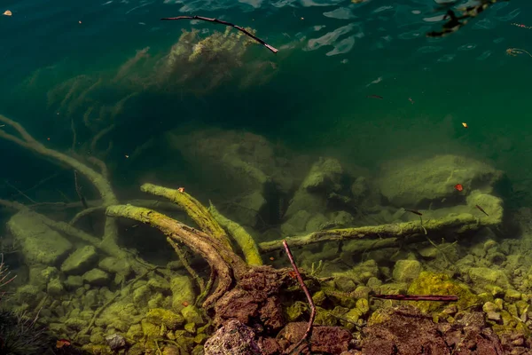 Pohled Umělé Jezero Perucac Řece Drině Srbsku — Stock fotografie