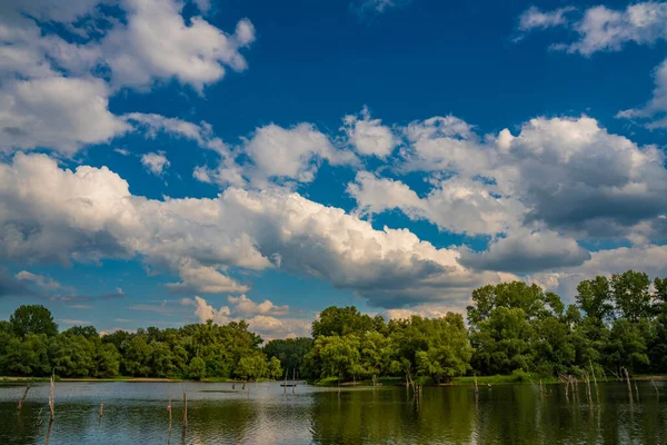 Widok Plażę Nad Jeziorem Sodros Nad Dunajem Novi Sad Serbia — Zdjęcie stockowe