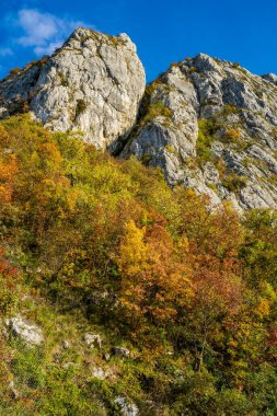 Sırbistan-Romanya sınırındaki Cerdap 'taki Tuna vadisine bak