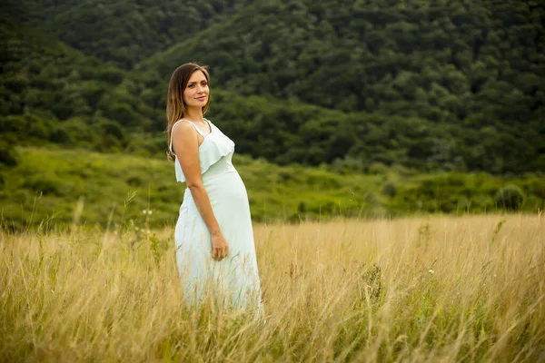 かなり若い妊娠中の女性は夏の日に自然の中でリラックス — ストック写真
