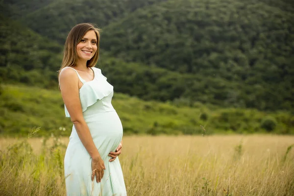 Pretty Young Pregnant Woman Relaxing Nature Summer Day — Stock Photo, Image