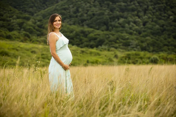 Красивая Беременная Женщина Отдыхает Природе Летний День — стоковое фото