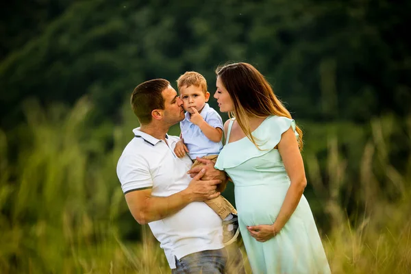 Jovem Família Divertindo Livre Campo Verão — Fotografia de Stock