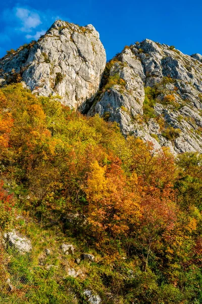 Vista Desfiladero Del Danubio Djerdap Frontera Serbio Rumana —  Fotos de Stock