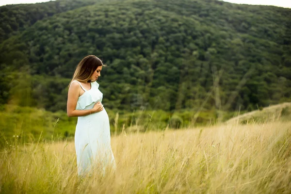 夏天的时候 年轻漂亮的孕妇正在外面的大自然中放松 — 图库照片
