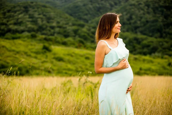 Mulher Grávida Muito Jovem Relaxando Fora Natureza Dia Verão — Fotografia de Stock