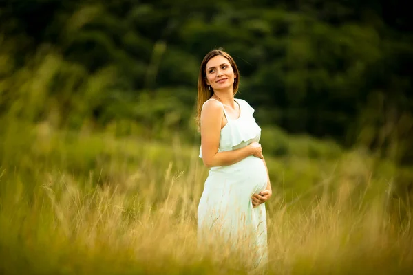 Hübsche Junge Schwangere Frau Entspannt Sich Sommertagen Draußen Der Natur — Stockfoto