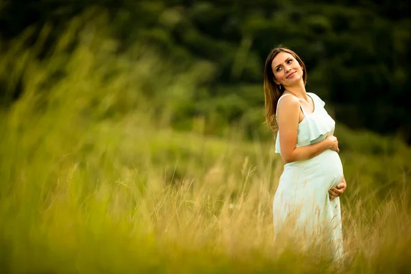 Hübsche Junge Schwangere Frau Entspannt Sich Sommertagen Draußen Der Natur — Stockfoto