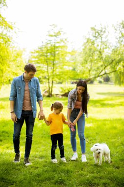Parkta şirin bir bizon köpeği olan mutlu genç bir aile.
