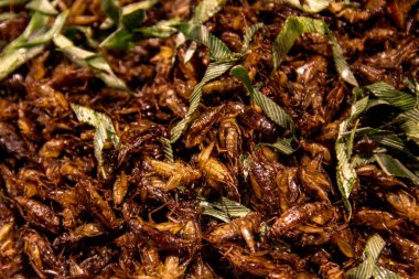 Bangkok, Tayland 'da markette kızarmış cırcır böceklerinin yakın çekimi