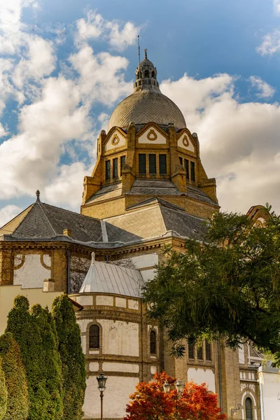 Vista Alla Sinagoga Novi Sad — Foto Stock