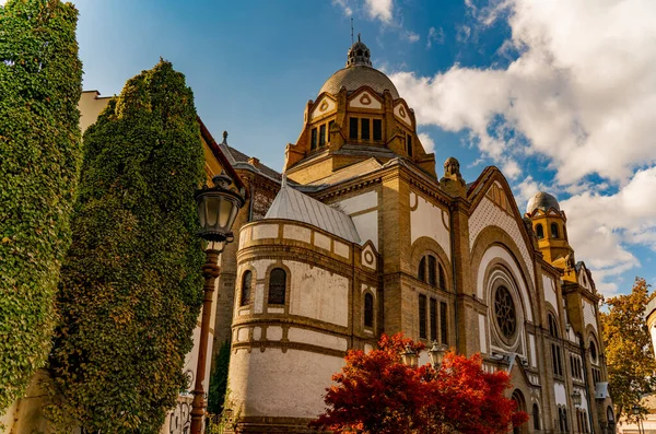 Vista Alla Sinagoga Novi Sad — Foto Stock