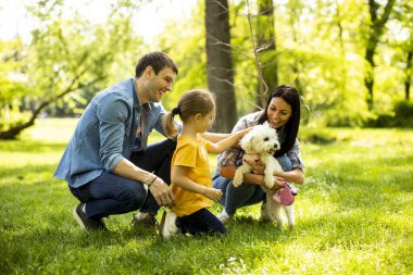 Güzel, mutlu bir aile parkta bizon köpeğiyle eğleniyor.