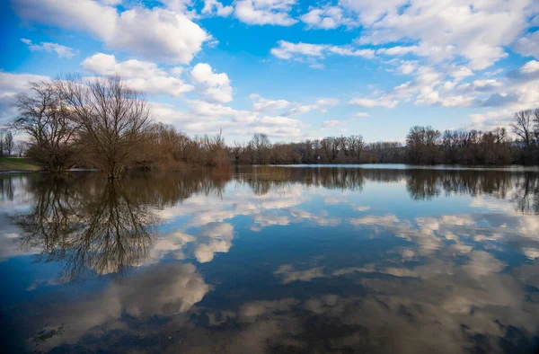 Stare Drzewa Nad Wodą Okresie Zimowym — Zdjęcie stockowe