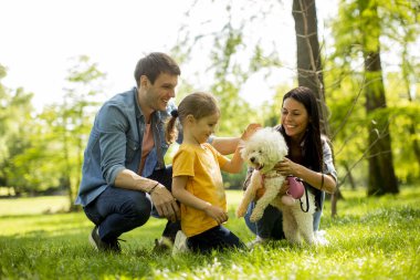 Güzel, mutlu bir aile parkta bizon köpeğiyle eğleniyor.