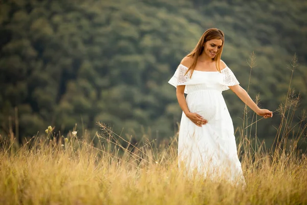 Młoda Ciężarna Kobieta Białej Sukience Letnim Polu — Zdjęcie stockowe