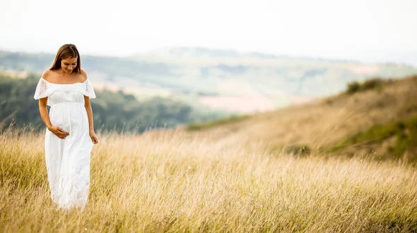 Jonge Zwangere Vrouw Witte Jurk Het Zomerveld — Stockfoto