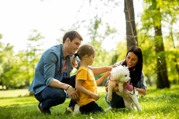 Beautiful Happy Family Having Fun Bichon Dog Outdoors Park — Stock Photo, Image