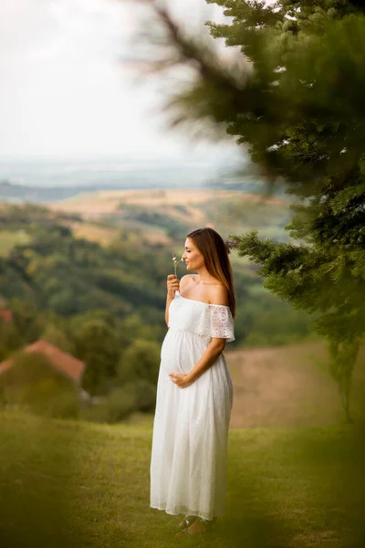 Jeune Femme Enceinte Robe Blanche Dans Forêt Jour Été — Photo