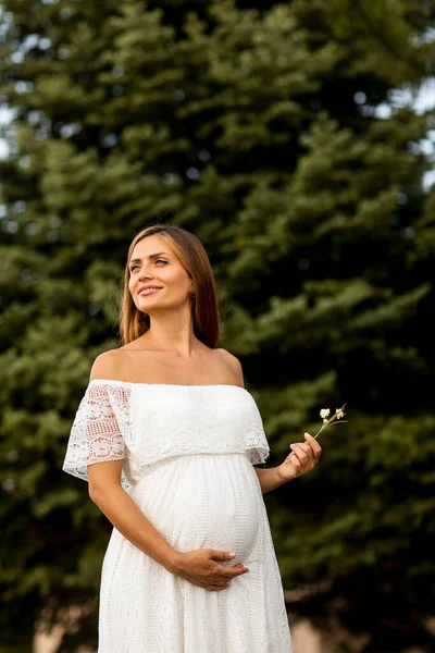 Young Pregnant Woman White Dress Forest Summer Day — Stock Photo, Image