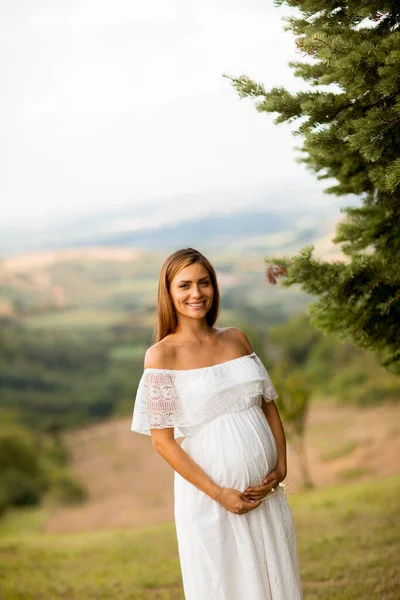 Jeune Femme Enceinte Robe Blanche Champ Été — Photo