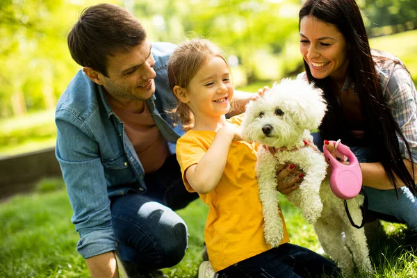 Hermosa Familia Feliz Divierte Con Perro Bichon Aire Libre Parque — Foto de Stock