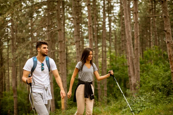 Lachend Jong Stel Wandelend Met Rugzakken Het Bos Een Zomerse — Stockfoto