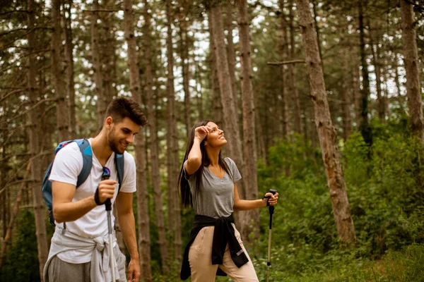 Lächelndes Junges Paar Spaziert Einem Sommertag Mit Rucksack Wald — Stockfoto