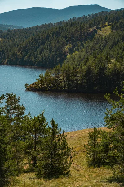 Вид Озеро Рібниця Златібор Гори Сербії — стокове фото