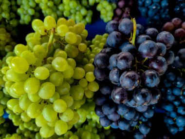 Piyasada bir sürü taze üzüm var.