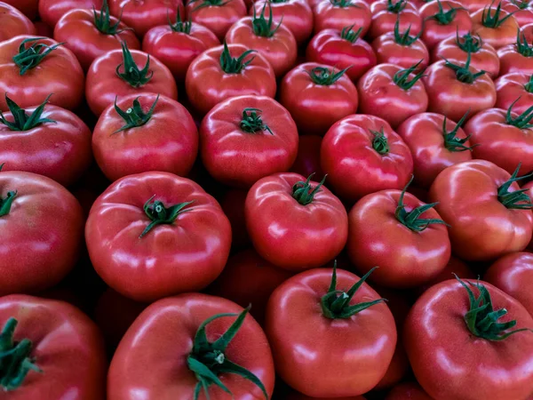 Grupo Tomates Frescos Mercado —  Fotos de Stock