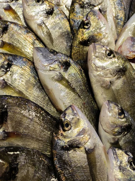 Čerstvé Zlacené Mořské Ryby Trhu — Stock fotografie
