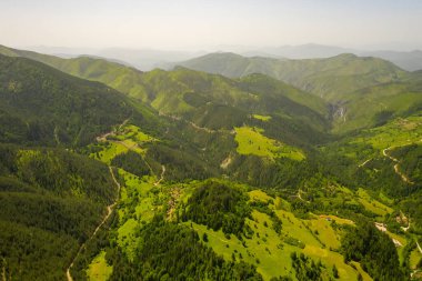 Sırbistan 'daki Tara dağının hava manzarası