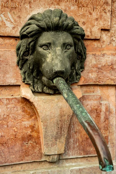 Detail Fountain Four Lions Sremski Karlovci Serbia Designed Giuseppe Aprili —  Fotos de Stock