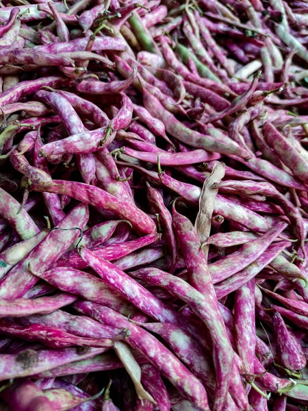 Closeup Merveille Piemonte Beans Market — Stock Photo, Image