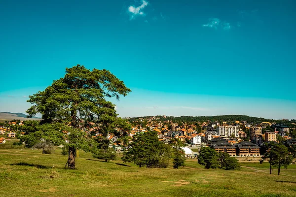 Uitzicht Weilanden Zlatibor Berg Servië — Stockfoto