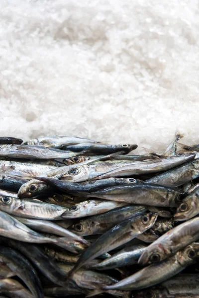 Boş Kopya Alanı Olan Pazarda Balıklar — Stok fotoğraf