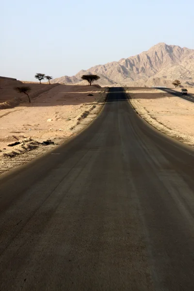 Strada del deserto nel Sinai, Egitto — Foto Stock