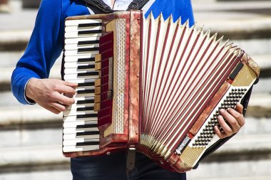 Accordion player clipart